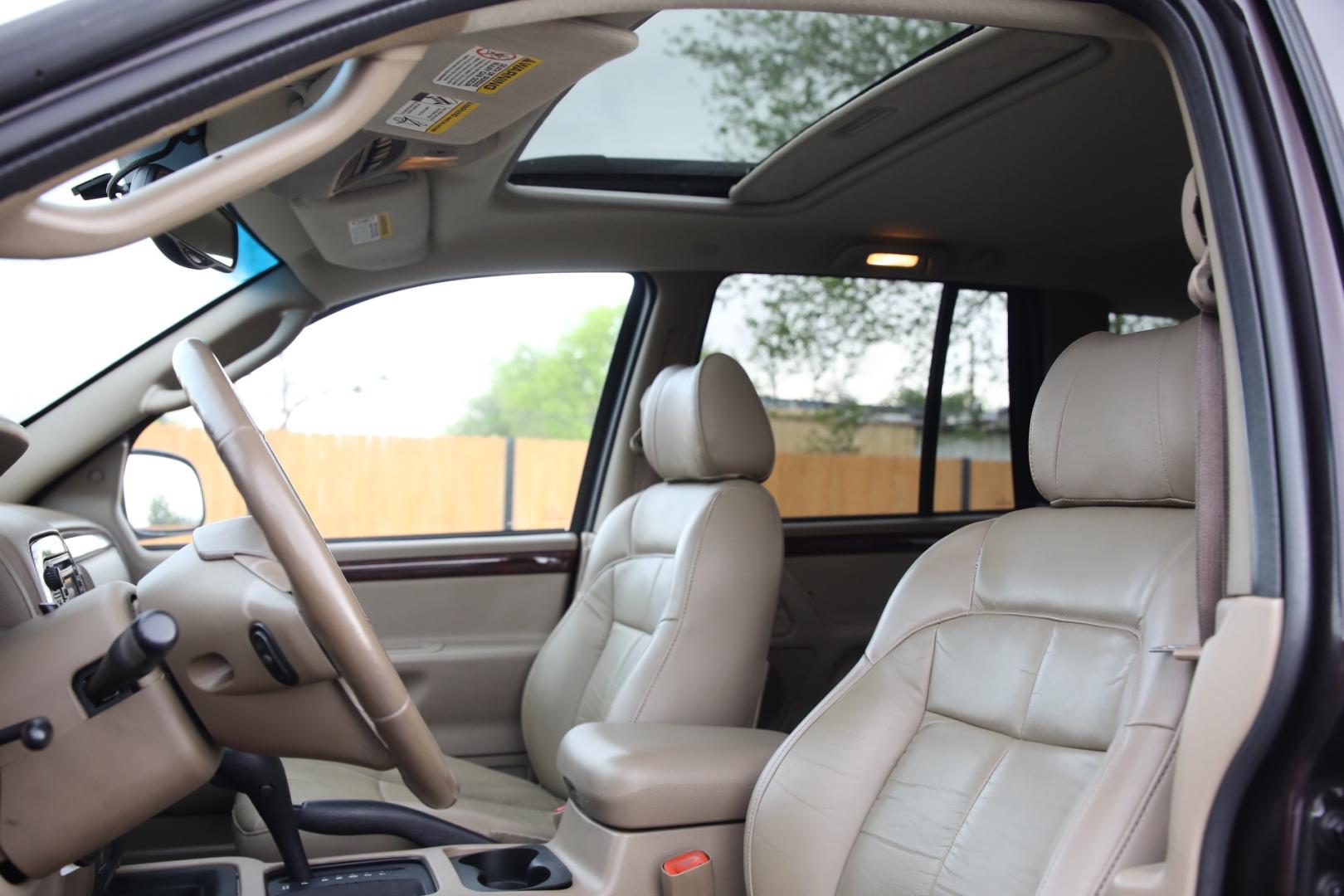 2004 PURPLE JEEP GRAND CHEROKEE Limited 2WD (1J8GX58N44C) with an 4.7L V8 SOHC 16V engine, 4-SPEED AUTOMATIC OR 5-SPEED AUTOMATIC transmission, located at 420 E. Kingsbury St., Seguin, TX, 78155, (830) 401-0495, 29.581060, -97.961647 - Photo#13